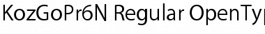Download Kozuka Gothic Pr6N Font