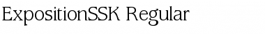 Download ExpositionSSK Regular Font