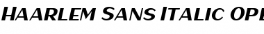 Download Haarlem Sans Font Download Haarlem Sans Font