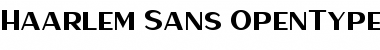 Download Haarlem Sans Font Download Haarlem Sans Font